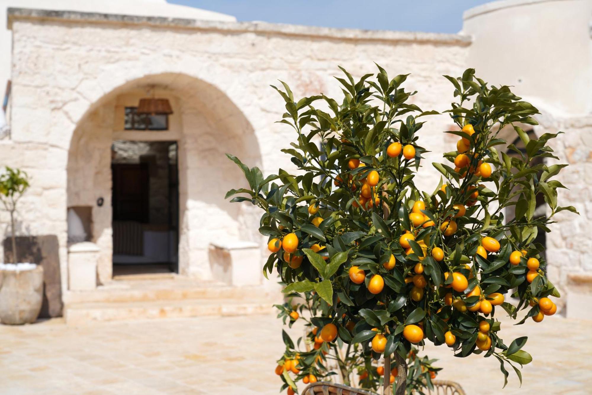 Ombre Pugliesi Bed & Breakfast Ostuni Eksteriør bilde